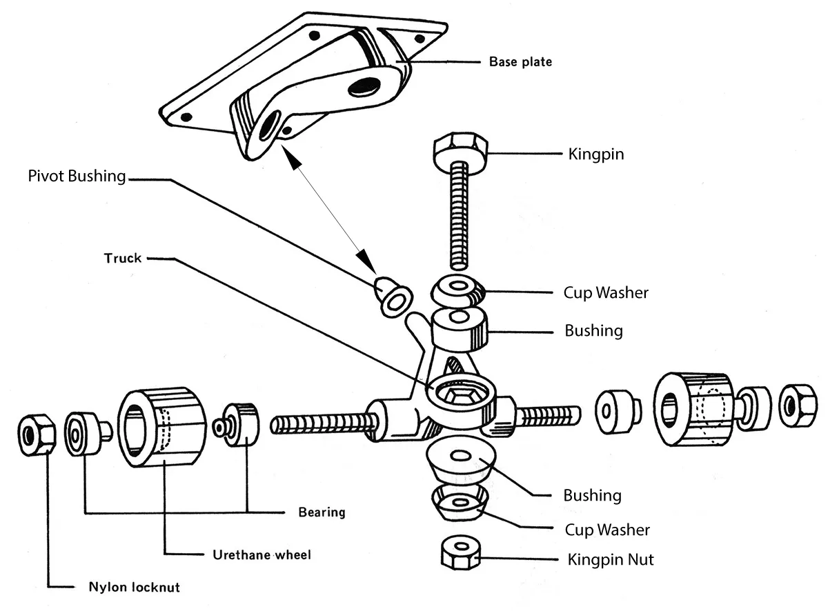 skateboard truck bushings