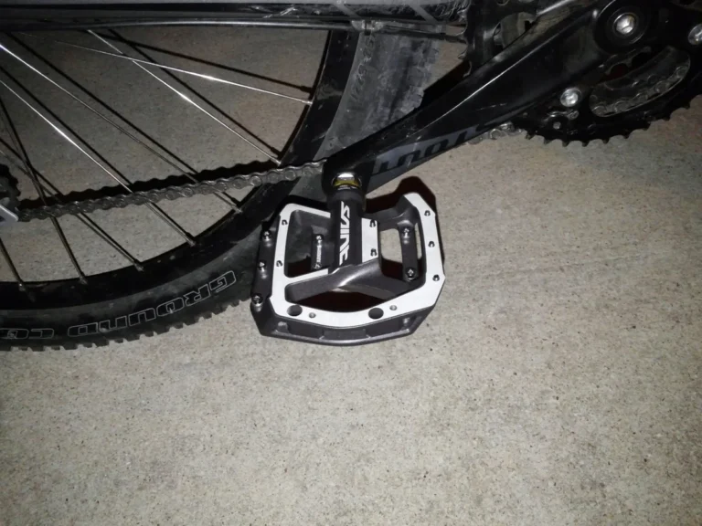 Specialized Rockhopper pedals making noise