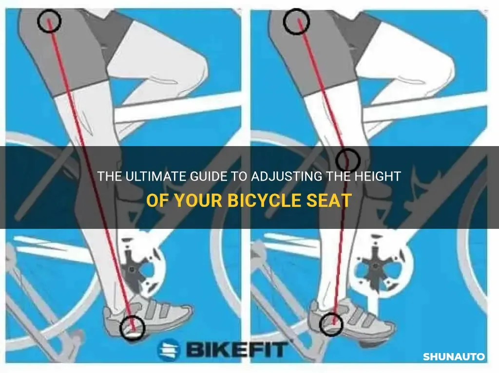 Step-by-Step: Mounting Your Unicycle