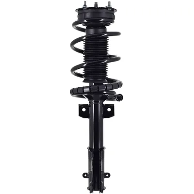 strut assembly
