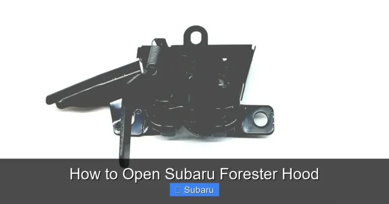 Subaru Forester won't start