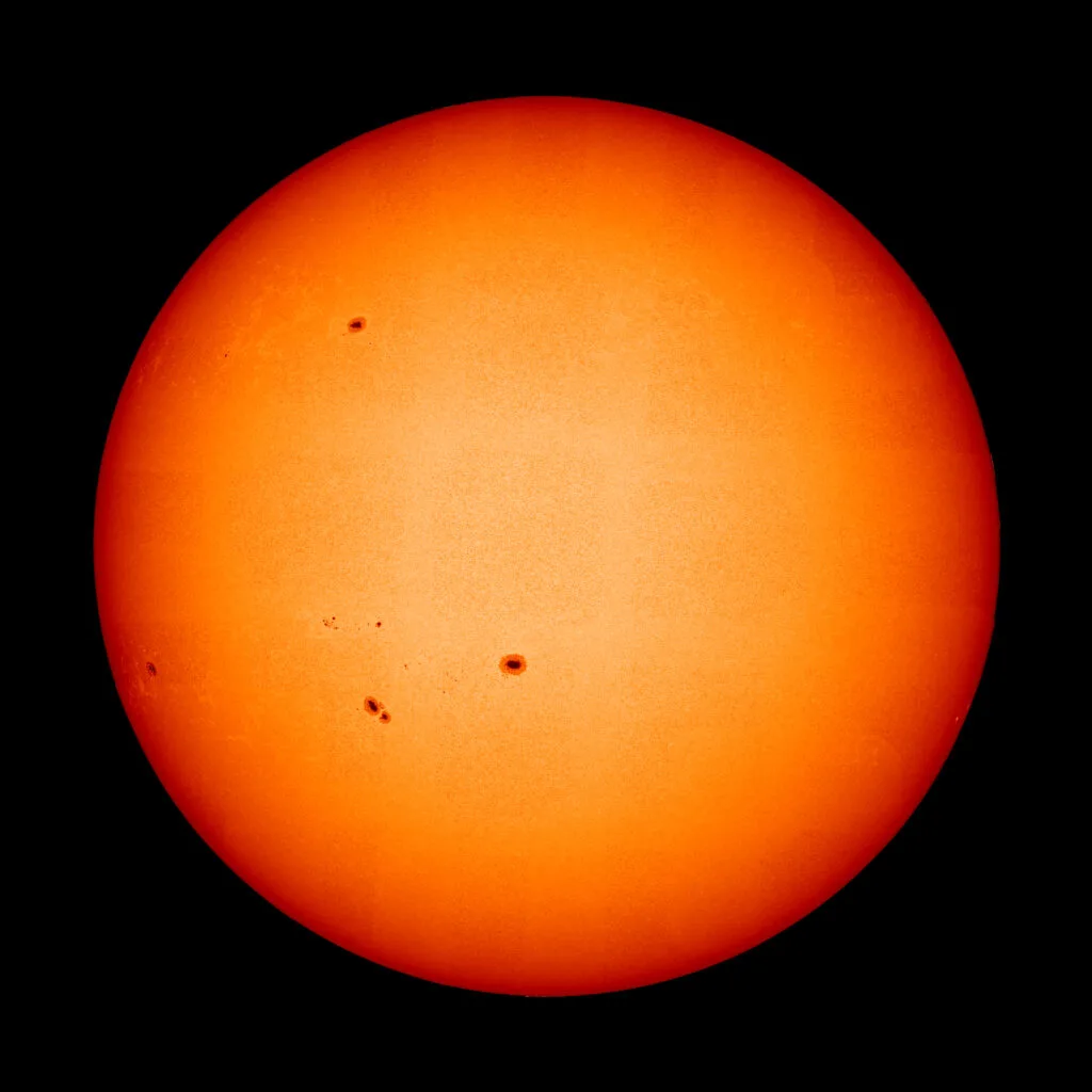 Sun, Sweat, and Chemicals: Environmental Stressors