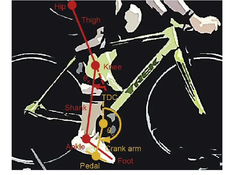 The "Slight Bend" Knee Test