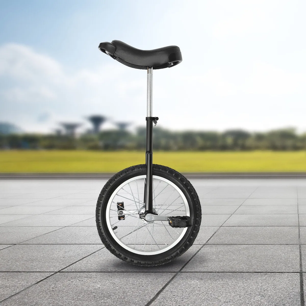 Unicycle's Design and Function