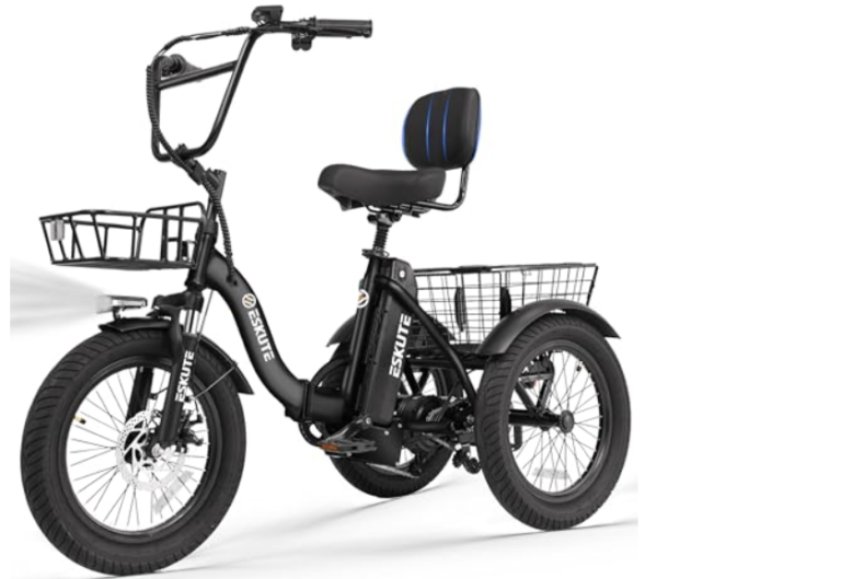 Best Electric Trike For Rough Terrain